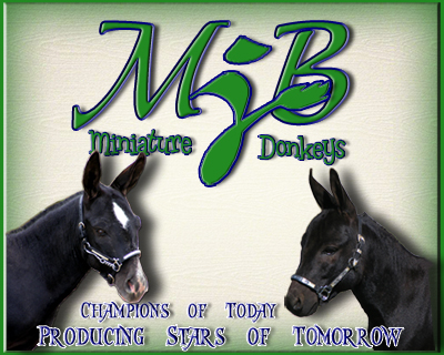 MJB Miniatures in Colorado!